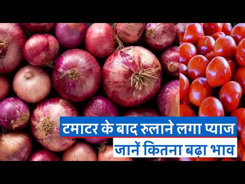Bihar News : सब्जियों की बढ़ती कीमत पर क्या है आम लोगों की राय?  | Prabhat Khabar Bihar