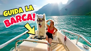 Il Mio Cane Impara A Guidare Una Barca-Il Diario Di Yuko