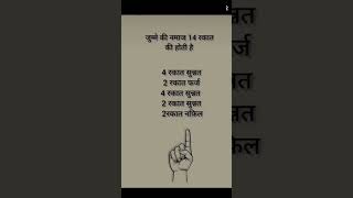 Download Lagu 14 rekat hai MP3