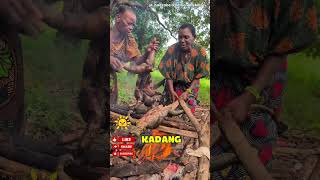 #Makan Seadanya… Tapi Tubuh Mereka Seperti Baja #shorts #viral video #suku hadzabe