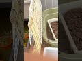 アカミミガメが卵を産まないので病院に行ったら卵が消えていました…