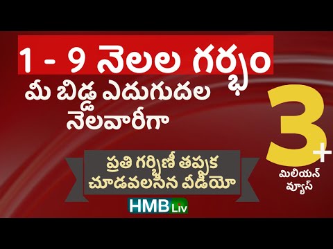 1-9 months తొమ్మిది నెలల అద్భుతం | గర్భస్థ శిశువు ఎదుగుదల | Normal Delivery