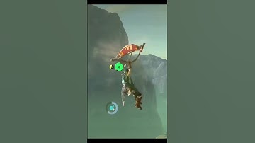Zelda BOTW Cryonis launch tutorial #shorts #botw
