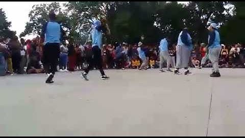 Gamma Sigma Zeta Fraternity Inc - New York Greek Picnic stroll competition Round 3