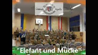 Elefant und Mücke , Henri Adrien Louis Kling, arr. Norbert Studnitzky, Frühlingskonzert 2024