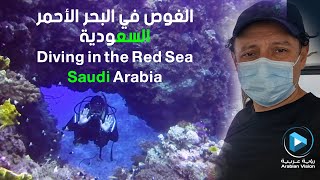 فلوق رحلات الغوص البحرية -  معتز بري - الشعاب المرجانية الحارقة - yanbu dive - fishing