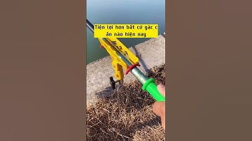 Gác cần câu đài xoay 360 độ, khóa đóng mở tự động, gác cần đến 8 mét - Fishcamp Việt Nam #1 #shorts