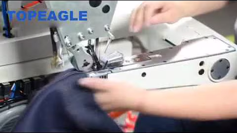 TOPEAGLE sewing machines