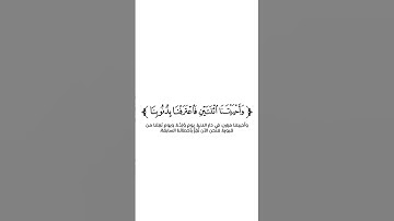 كروما شاشة بيضاء قرآن كريم 🌿تلاوة من سورة غافر 🌿القارئ محمد طه الجنيد 🌿