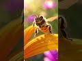 Nature's love story between flowers and bees #nature #pollination #wildlife