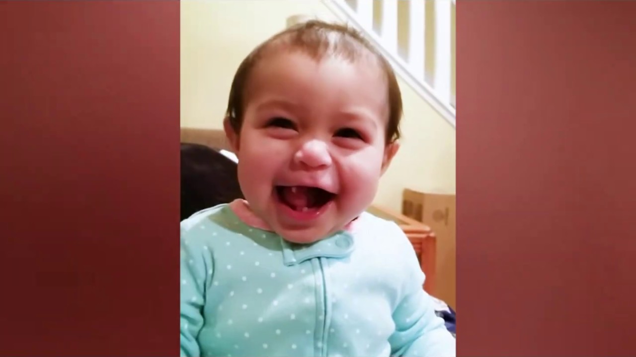 Funny Baby Video Compilation Try not to Laugh YouTube