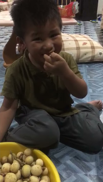 Ammar mimboros dusun: terlelan biji manggis