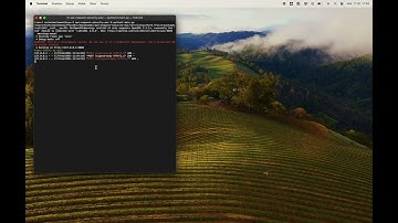 Once again, ZAP Scripting, request encryption, and finally, signing
