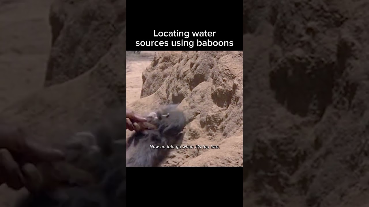 water search in desert.