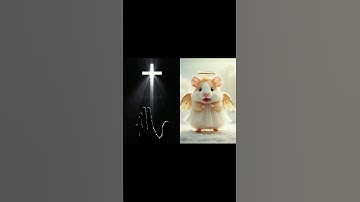 singing hamster Living Hope #apt #apt cat #singing #hamster #viralvideo #viralshorts #cute