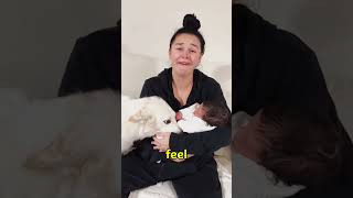 Download Lagu Why Dogs Act Extra Gentle Suddenly MP3