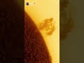 THE SUN