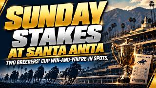 Two Breeders' Cup Preps on Sunday at Santa Anita - Picks and Analysis from Ernie Belmonte screenshot 2