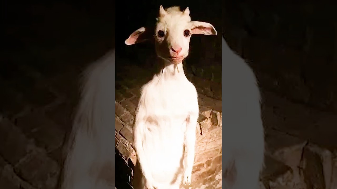 Something Disturbing Was Just Discovered That Humans Were Never Meant To See