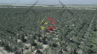 PLM MA2 UHD 003