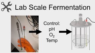 Lab Scale Fermentation - How and Why We Do It