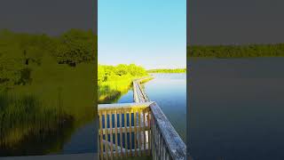 Discovering Mel Swart Lake Gibson Park: A Hidden Gem in #niagara