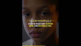 Аль-Мунафикун Sherif Mostafa |  شريف مصطفي | @sherif.mostafa97