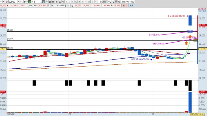 서흥 2차 008490 패턴분석 및 투자전략