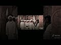 نحن لا نركع لغير الله وحده هيبة المسلمين أمام النجاشي ملك الحبشه