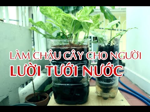 Video LÀM CHẬU TRỒNG CÂY DÀNH CHO NGƯỜI LƯỜI TƯỚI NƯỚC BẰNG... - youtube