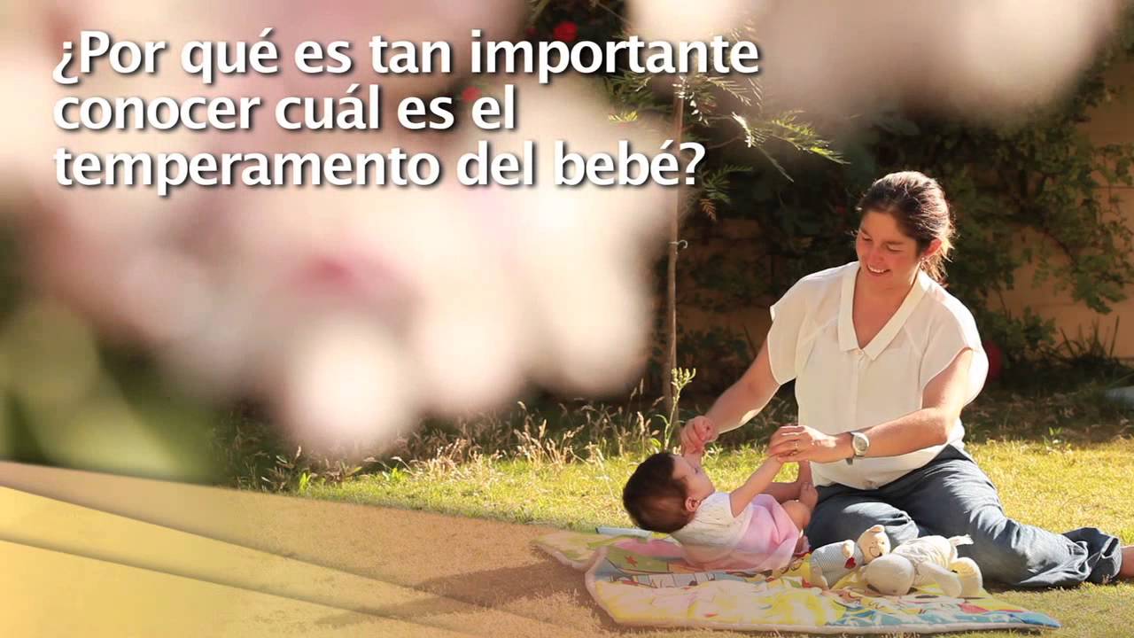 servicios al contribuyente Preparacion al nacimiento: cómo interpretar y calmar el llanto del bebé.