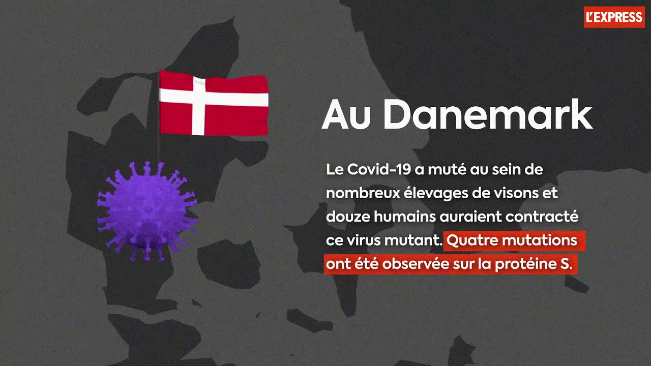 covid 19 comment et pourquoi les virus mutent ils youtube