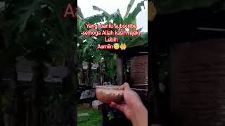 kasih makan gagak hitam #gagak #shorts  #viral