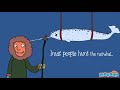Middle of video