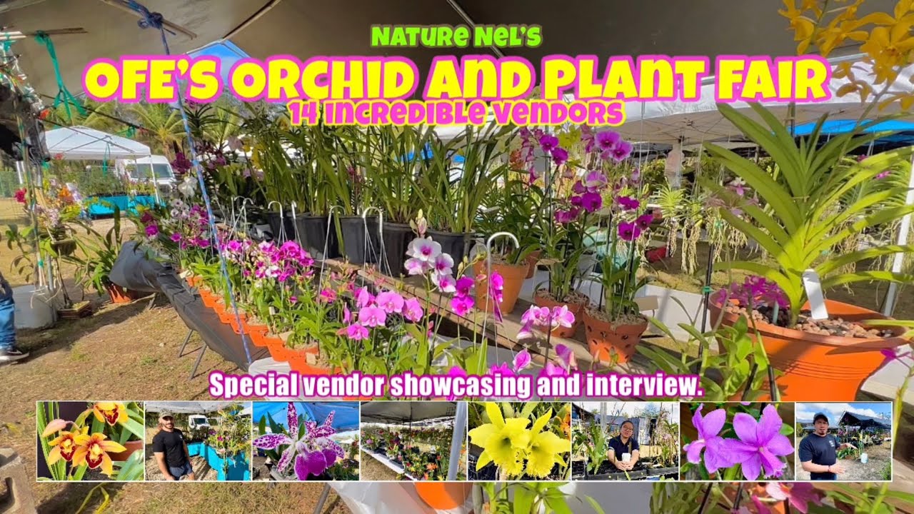 BIG LOCAL ORCHID AND PLANT SHOW. January 28th -29th, 2023