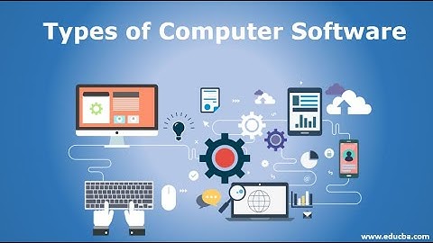 Types of Software | Basic Computers | Upskill With Ridzi