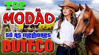 🎵 MODÃO DAS ANTIGAS 2025 | As Melhores do Sertanejo Raiz & Moda de Viola!