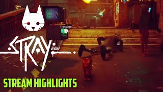 Stray Stream Highlights - twitch.tv/talesanura