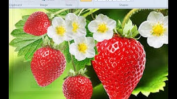 Text Tutorial in MS Paint | How to put an Image into Beautiful Text 2020