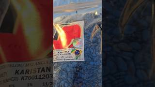 Семена Каристан 🍉 +7(912)847-52-01 WA/TG