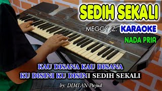 SEDIH SEKALI KARAOKE Meggy Z I  Nada Pria I Orgen Tunggal