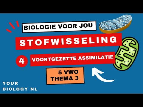 Video: HOE LANG DUURT DE ASSIMILATIE?