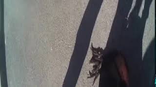 Baltimore Body Cam of Police Punishing Man with Pepper Spray