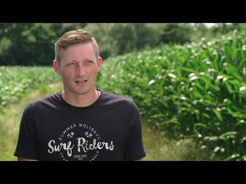 Video: Koje su vrste primjene gnojiva?