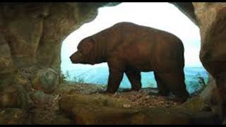 Custom Cave Bear Roars