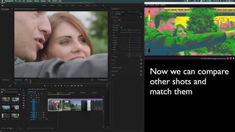 Remote False Color in Premiere Pro, step by step exposure matching