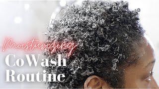 Moisturizing Co Wash Routine Natural Hair