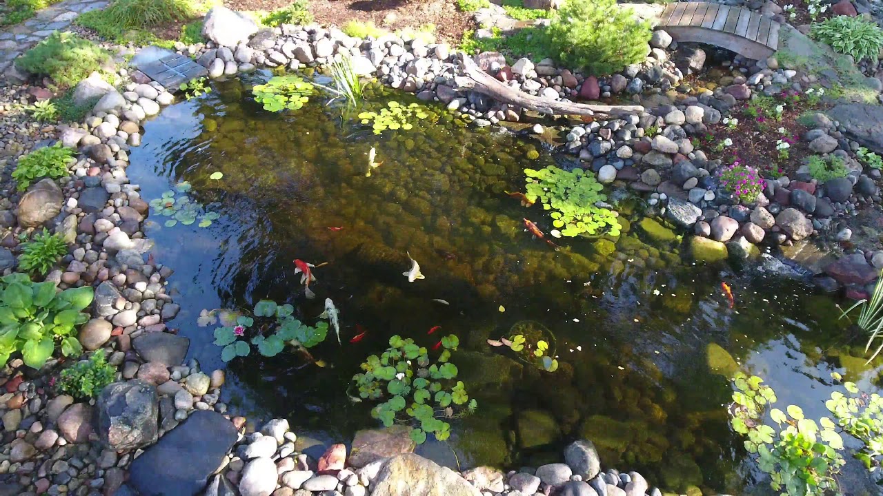 Rock N Water Apple Valley backyard YouTube