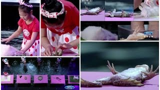 Hipnozla Hayvanları Uyutan Kız Şaşkına Çevirdi! (5 Yr Old Girl Can Hypnotize Animals With Her Mind!)