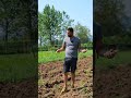 come sta andando l'#orto estivo? Quali soluzioni ci sono per la troppa #pioggia? #mattthefarmer